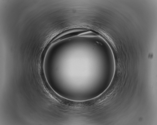 X0000096160485200801181228