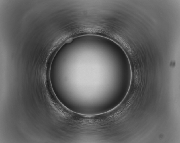 X0000096160486200801181228