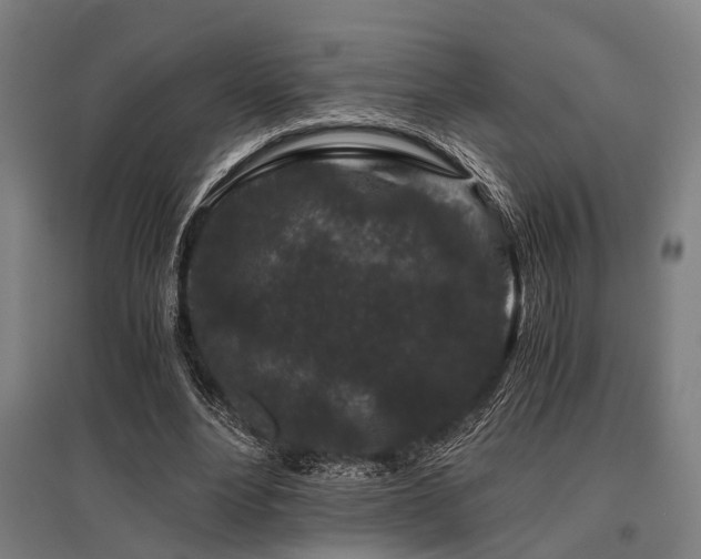 X0000096160488200801181228