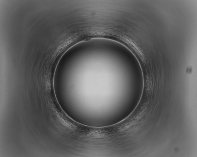 X0000096160489200801181228
