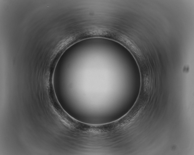 X0000096160490200801181228