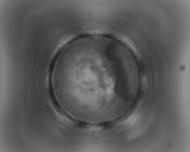 X0000096160491200801181228