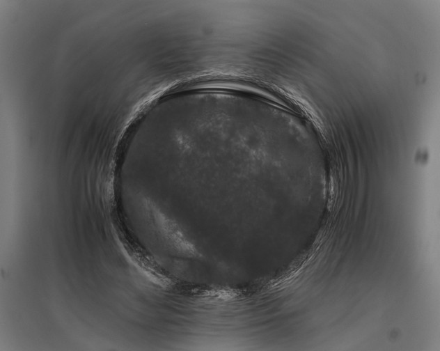 X0000096160492200801181228
