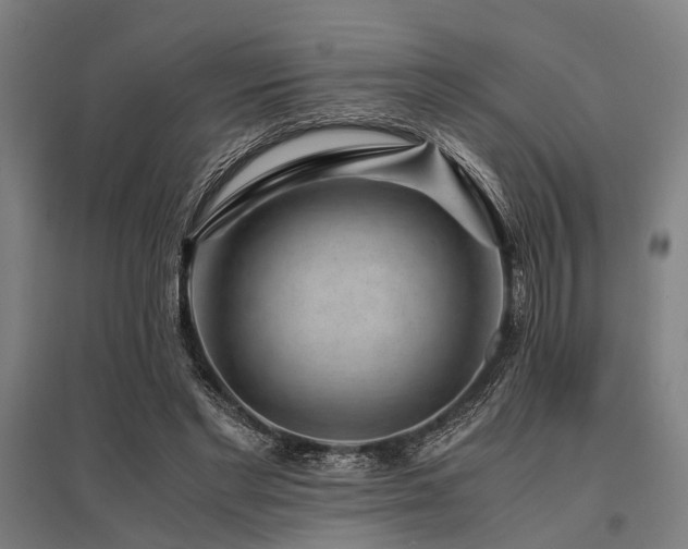 X0000096160493200801181228