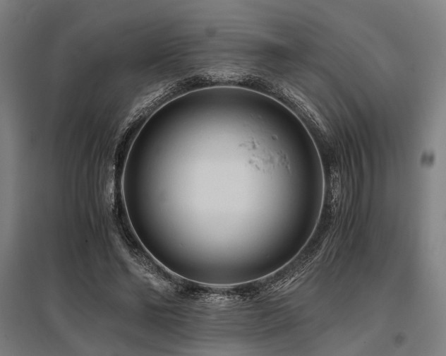 X0000096160494200801181228