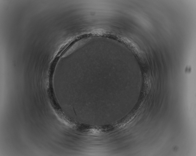 X0000096160496200801181228