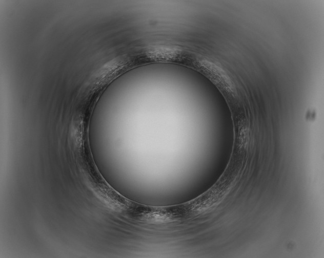 X0000096160498200801181228