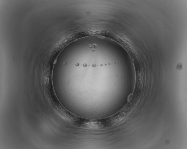 X0000096160499200801181228