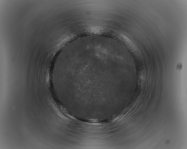 X0000096160500200801181228