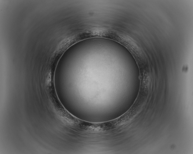 X0000096160502200801181227