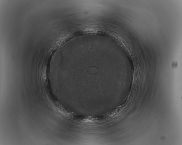 X0000096160504200801181227