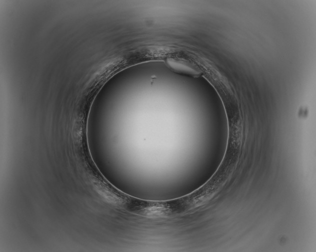 X0000096160505200801181227