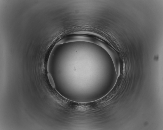 X0000096160508200801181227
