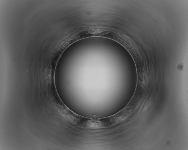 X0000096160510200801181227