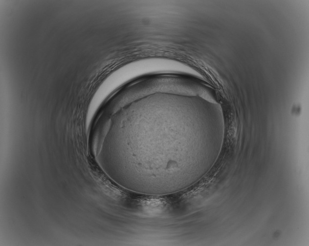 X0000096160513200801181227