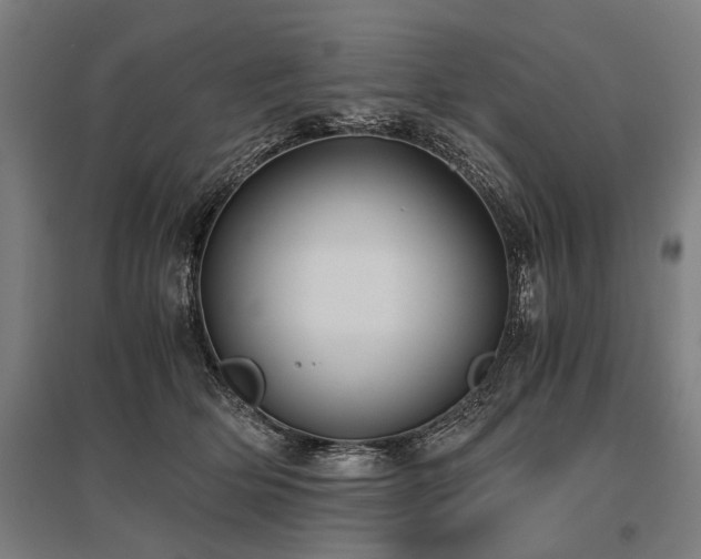 X0000096160514200801181227