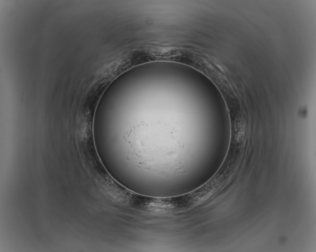 X0000096160515200801181227
