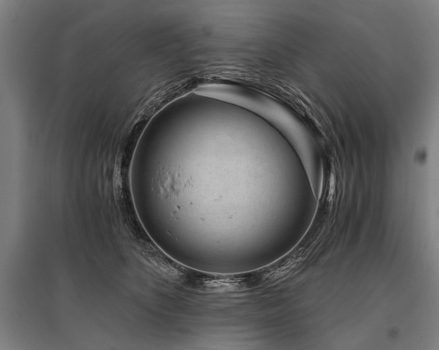 X0000096160516200801181227