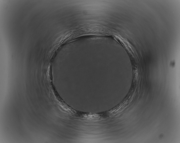 X0000096160517200801181227
