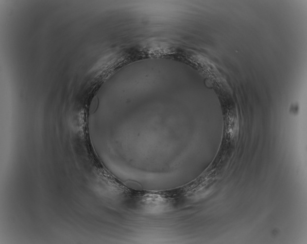 X0000096160519200801181227
