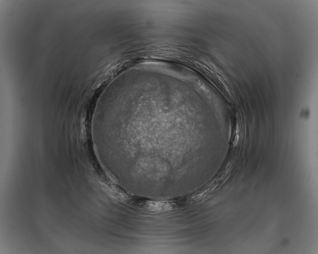 X0000096160520200801181227