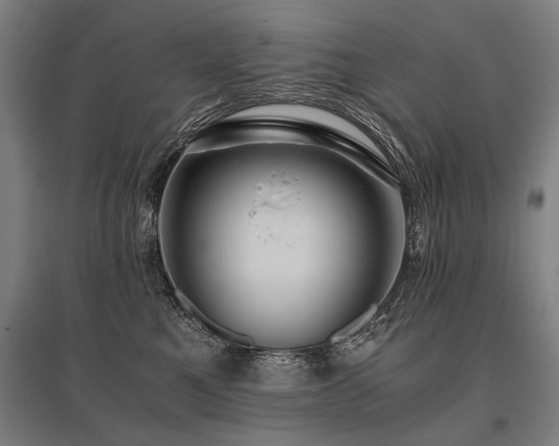 X0000096160521200801181227
