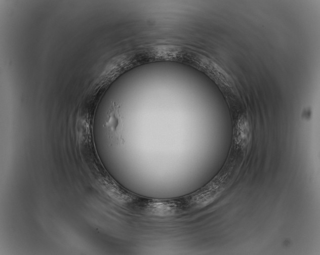 X0000096160522200801181227