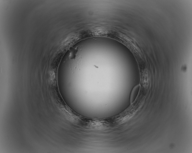 X0000096160523200801181227