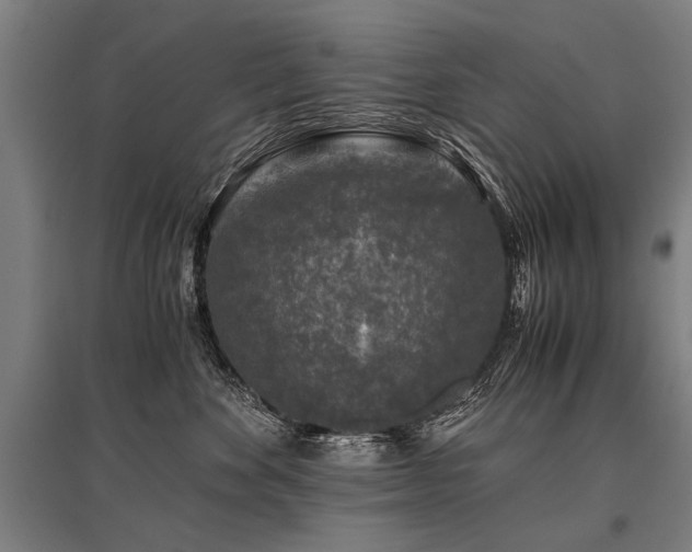 X0000096160524200801181227