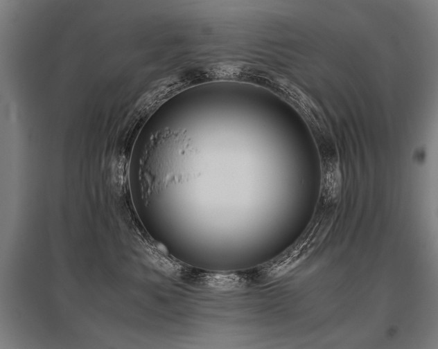 X0000096160525200801181227