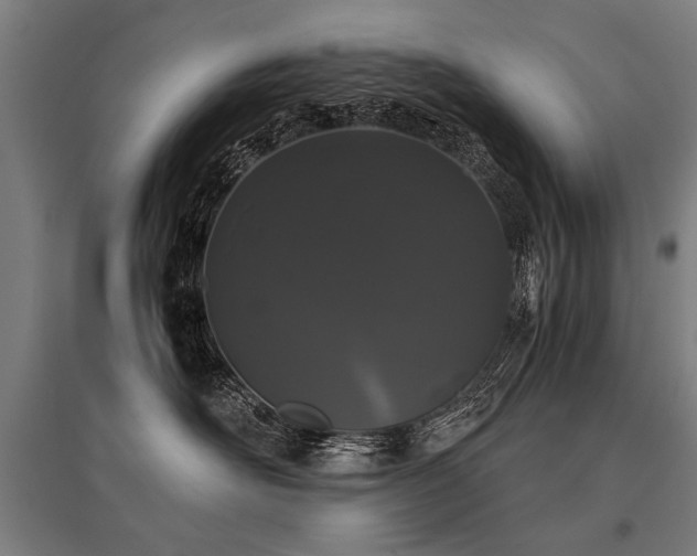 X0000096160526200801181227