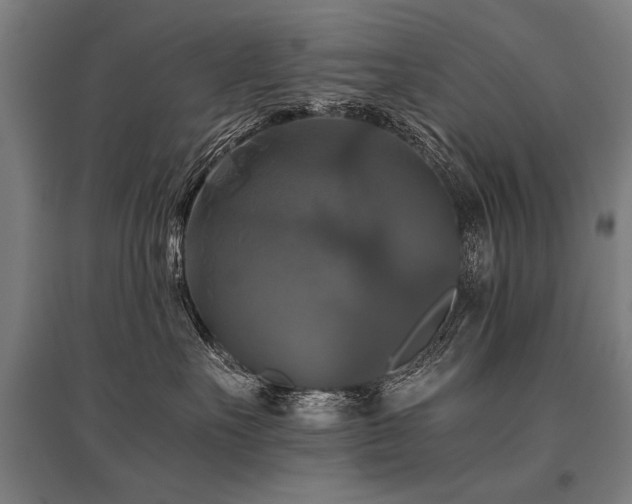 X0000096160527200801181227