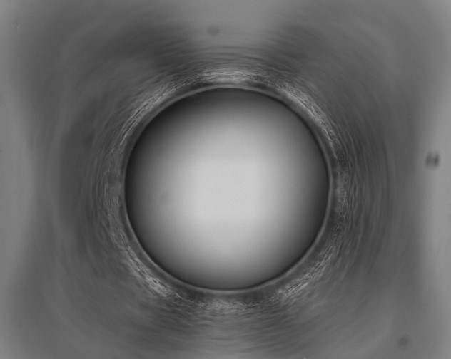 X0000096160529200801181226