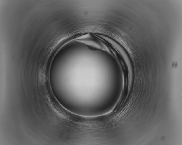 X0000096160530200801181226