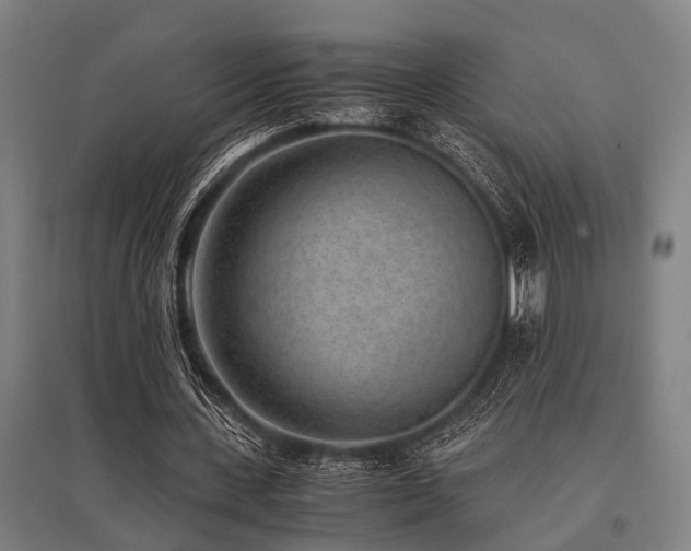 X0000096160531200801181226