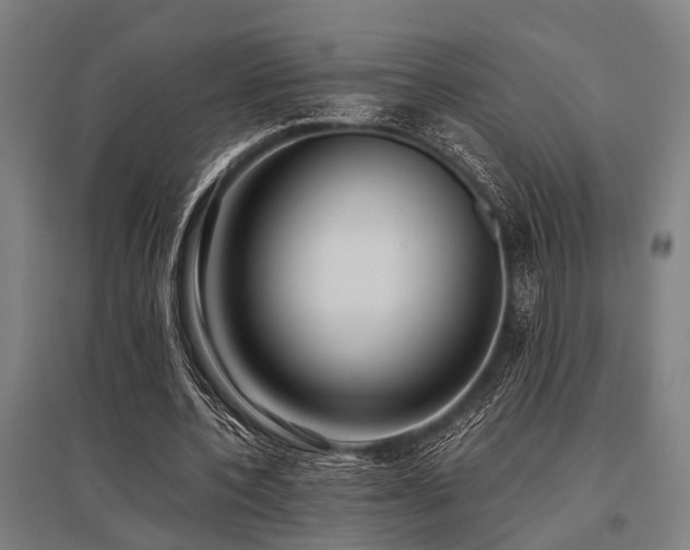 X0000096160532200801181227