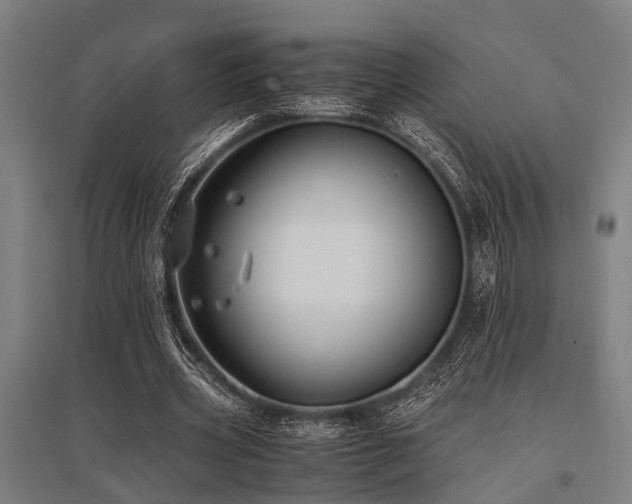 X0000096160533200801181227