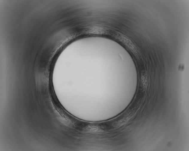 X0000096160534200801181227