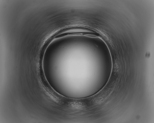 X0000096160535200801181227