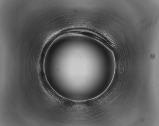 X0000096160536200801181227