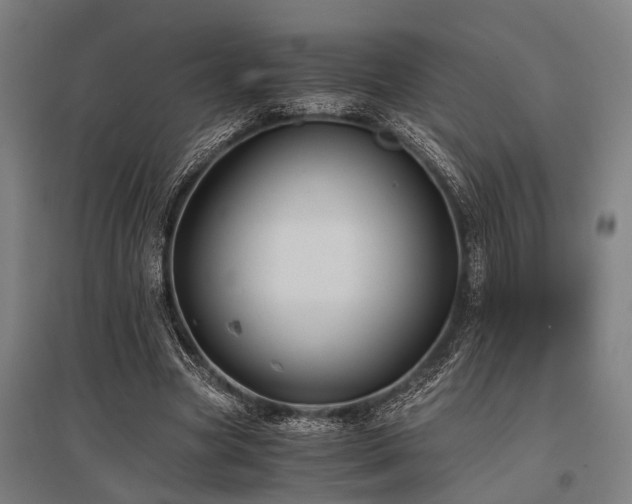 X0000096160537200801181227