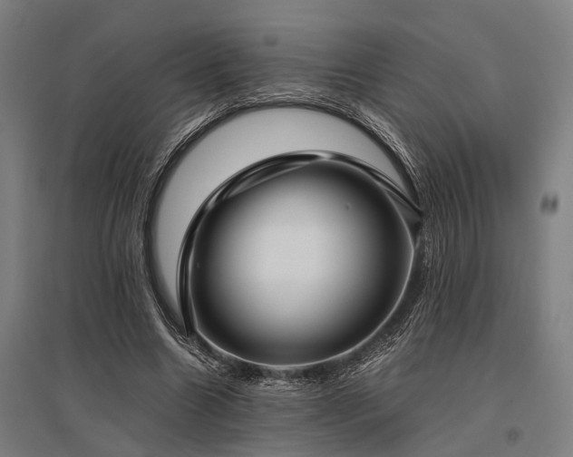 X0000096160538200801181227