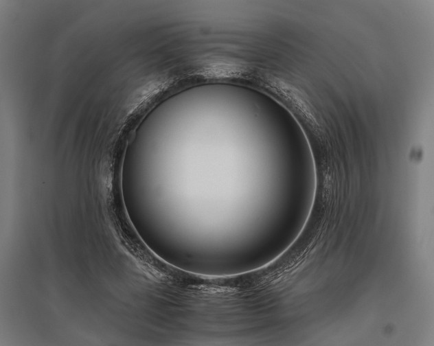 X0000096160539200801181227