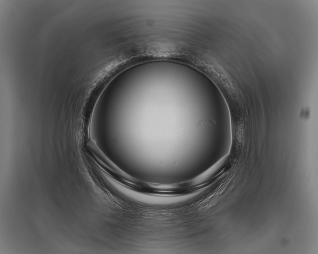X0000096160540200801181227