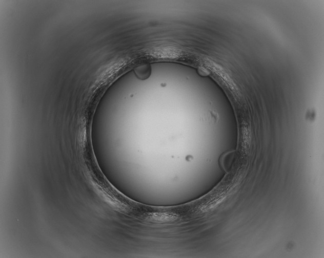 X0000096160541200801181227