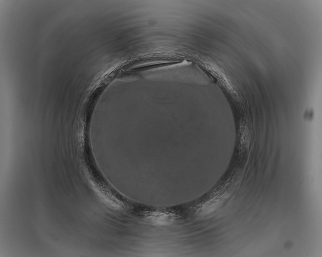 X0000096160542200801181227
