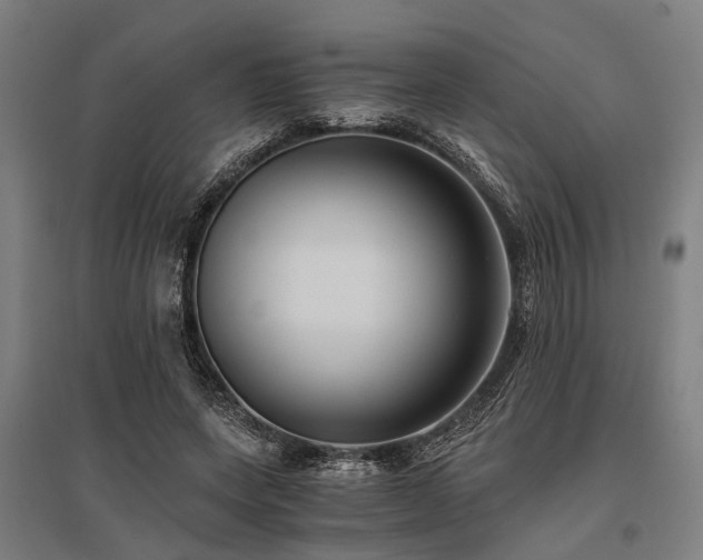 X0000096160543200801181227