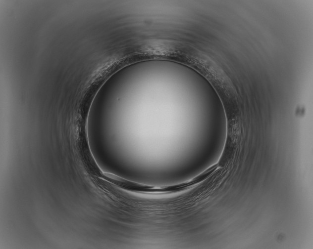 X0000096160544200801181227