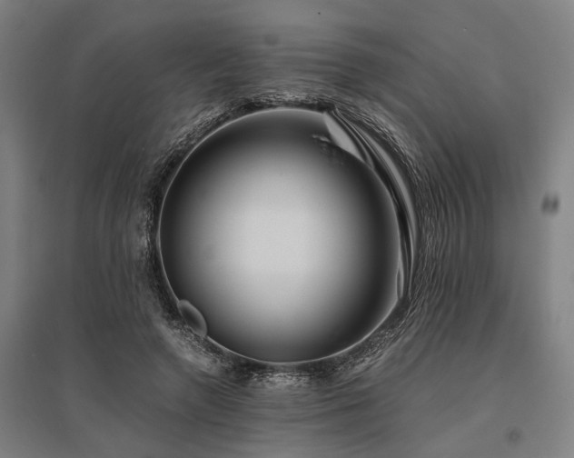 X0000096160546200801181227