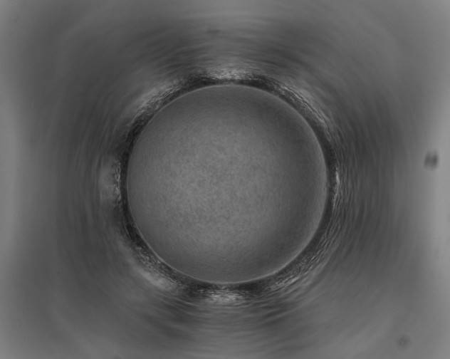 X0000096160547200801181227